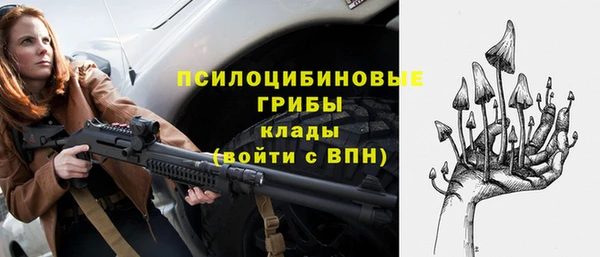 дживик Бронницы