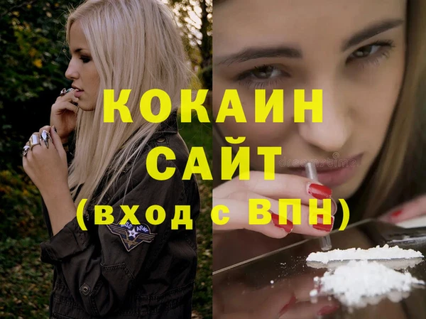дживик Бронницы