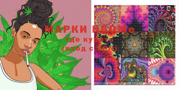 дживик Бронницы