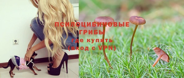 дживик Бронницы