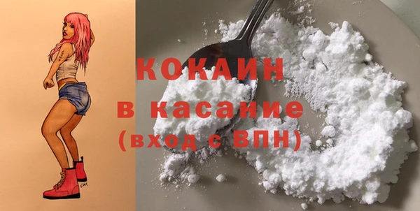 дживик Бронницы
