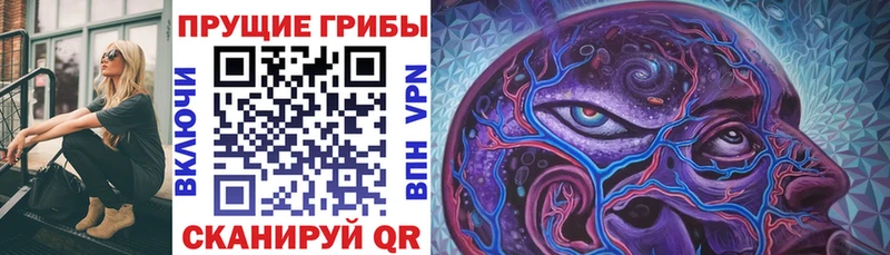 shop состав Касли Псилоцибиновые грибы ЛСД